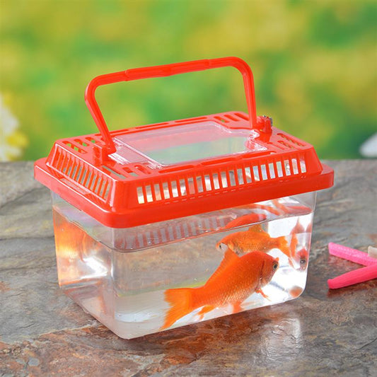 Mini Fish Tank & Pet Fish aquarium Accessories