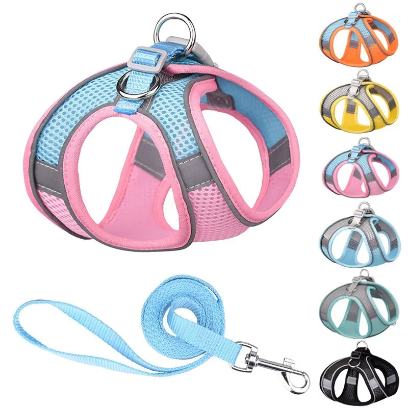 Outdoor Walking Lead Leash Set for Small Dogs