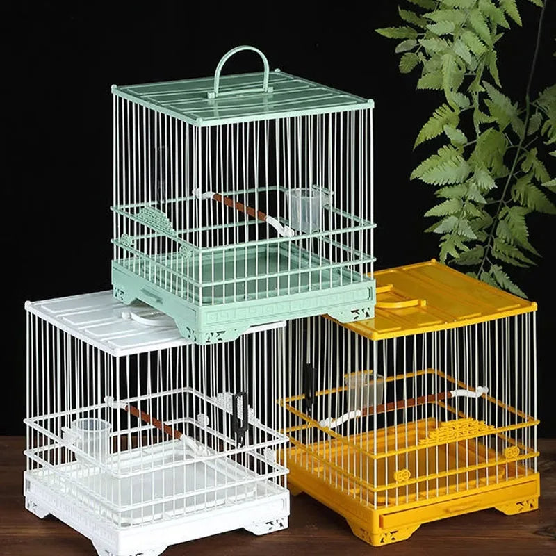 The Small Bird Cage  of Out Parrot Pet