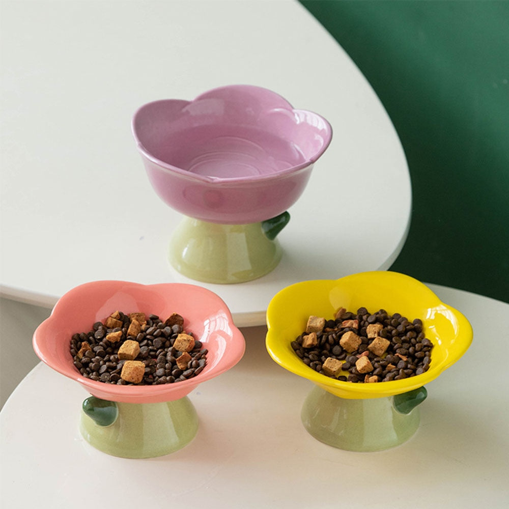 Feeding Food Elevated Raised Dish Pet Supplies