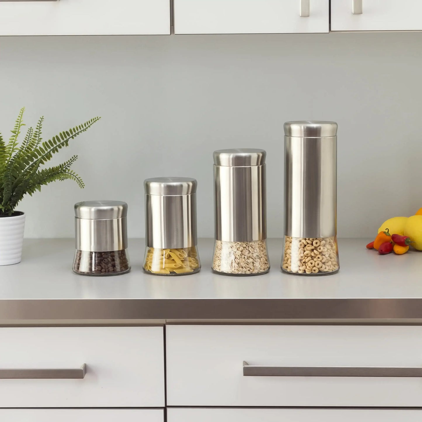 Stainless Steel Food Storage Canister Set