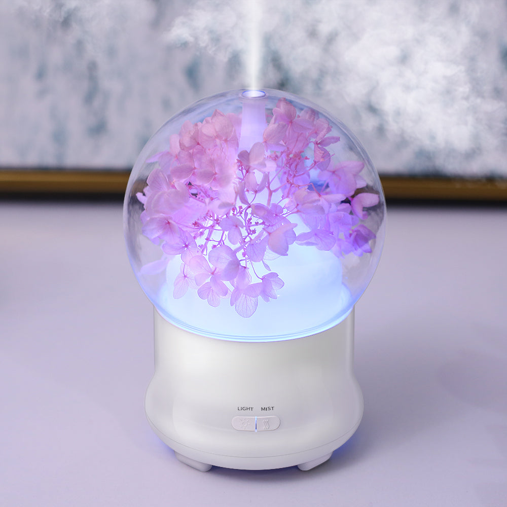 Atomizer Ultrasonic Aromatherapy Diffuser Gifts for Lover