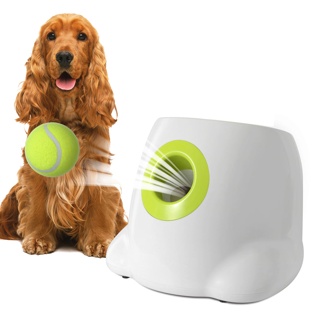 Dog Ball Automatic Tennis Launcher Pet Dogs Chase