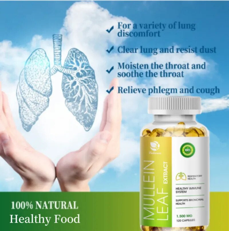 Mullein Leaf Capsule Clean the Lung Protecting the Respiratory System