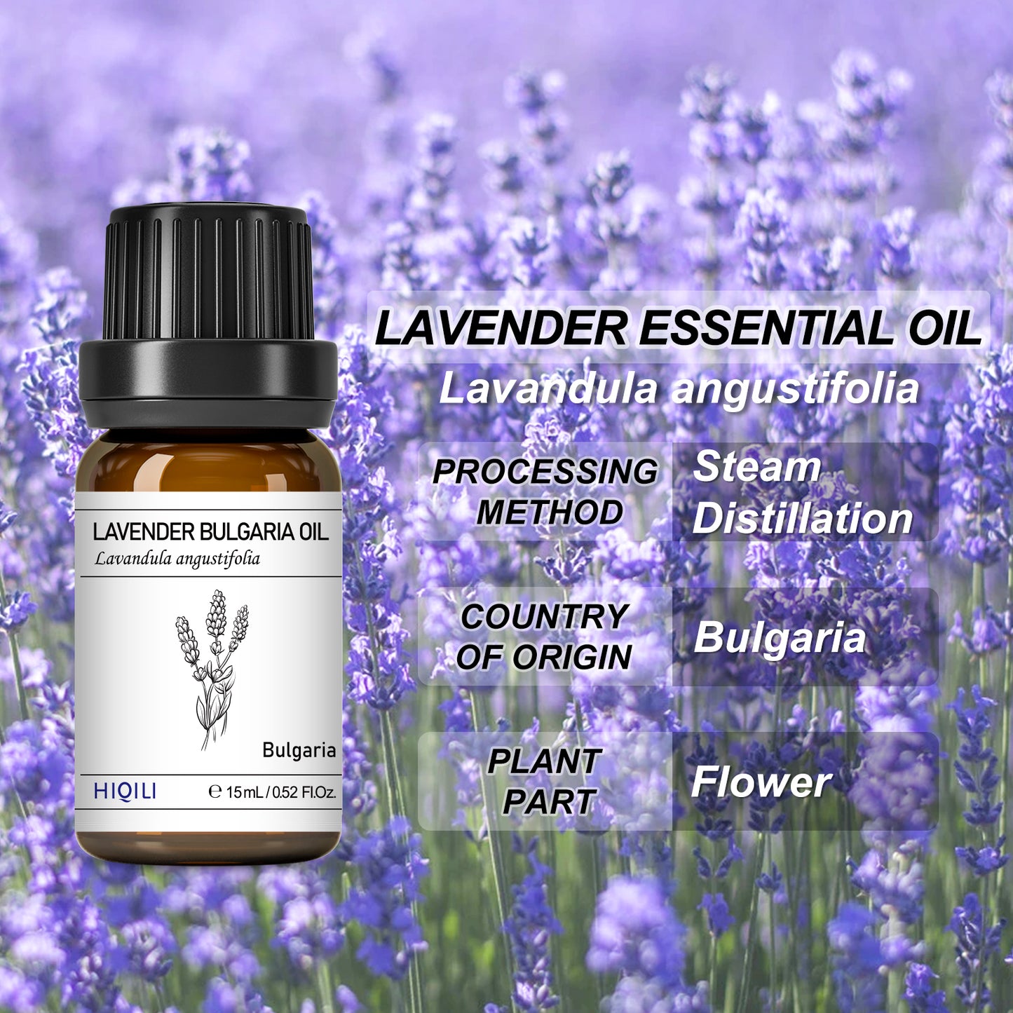 Minyak Esensial Lavender HIQILI Bulgaria