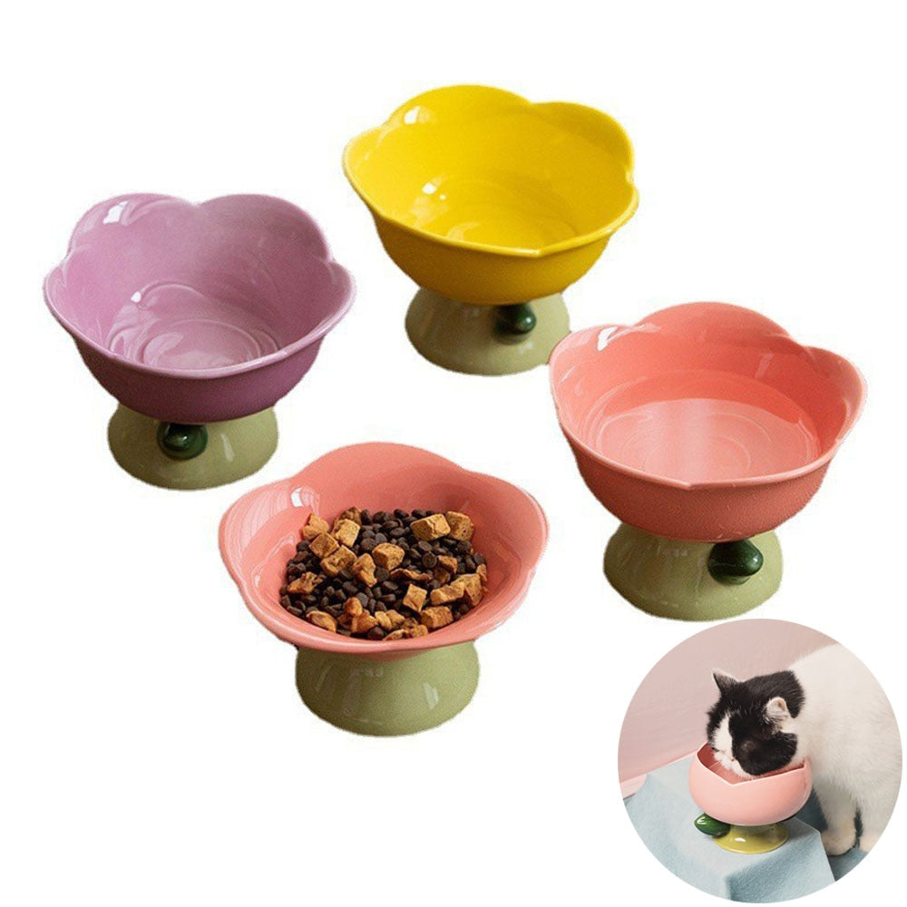 Feeding Food Elevated Raised Dish Pet Supplies