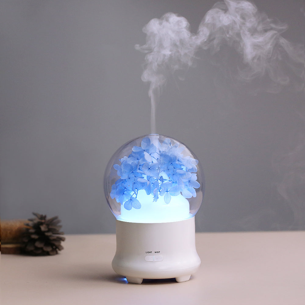 Atomizer Ultrasonic Aromatherapy Diffuser Gifts for Lover