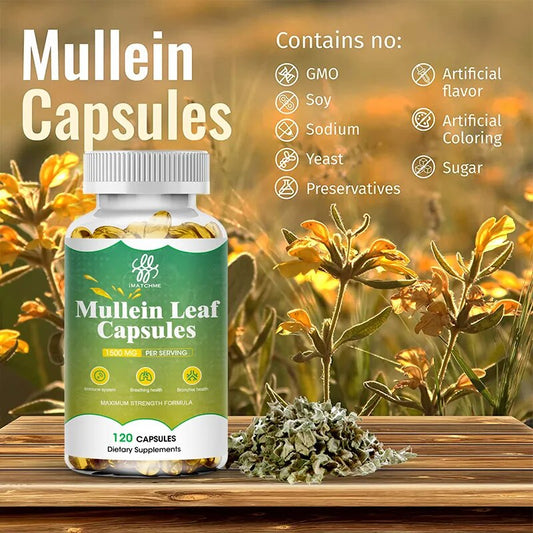 Mullein Leaf Capsule Clean the Lung Protecting the Respiratory System