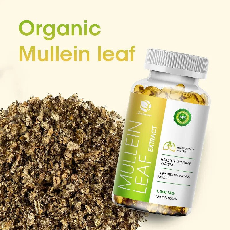 Mullein Leaf Capsule Clean the Lung Protecting the Respiratory System