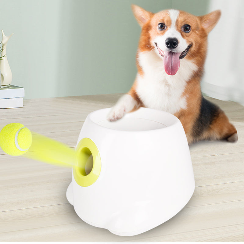 Dog Ball Automatic Tennis Launcher Pet Dogs Chase