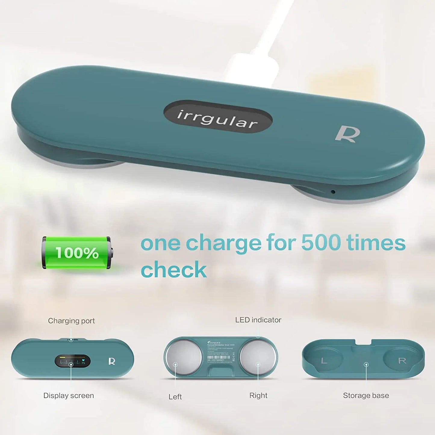 Pocket ECG Monitoring Device in Personal Health Care