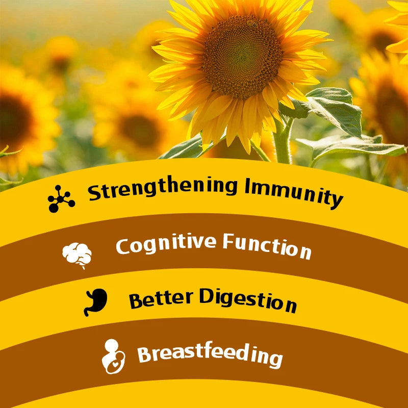 Sunflower Lecithin Capsules Health Product