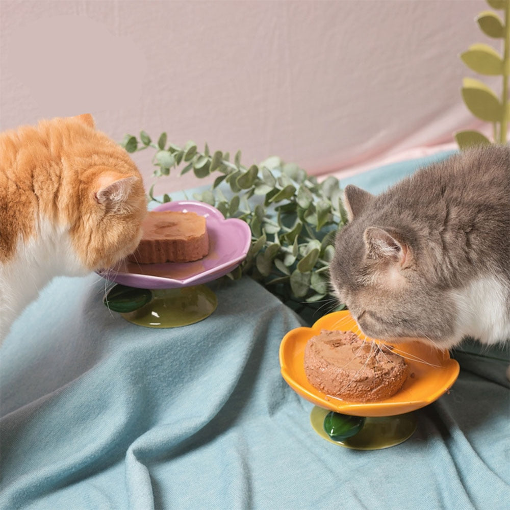 Feeding Food Elevated Raised Dish Pet Supplies