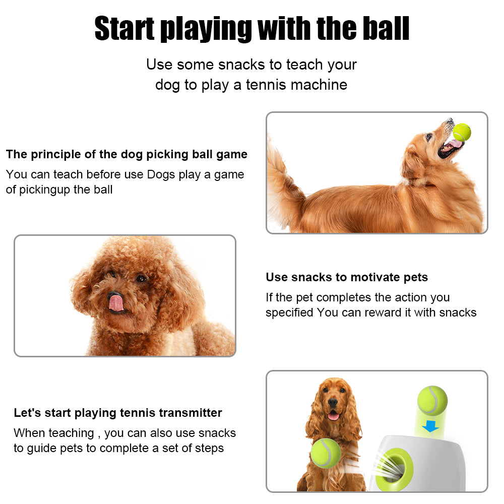 Dog Ball Automatic Tennis Launcher Pet Dogs Chase