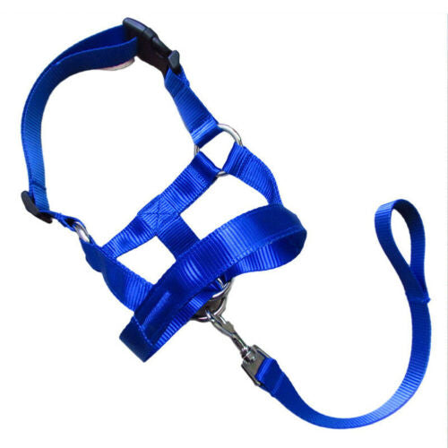 Pet Dog Head Halter Halti Training Collar Stop Pulling Gentle Harness