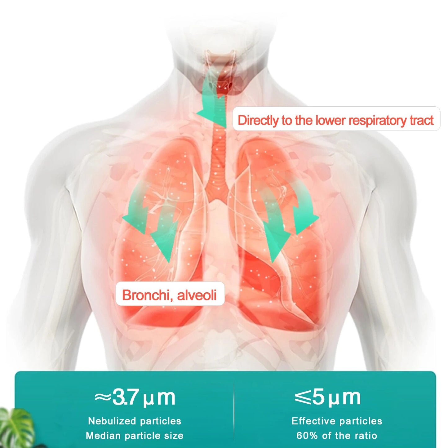 New rechargeable Portable atomizer steaming device