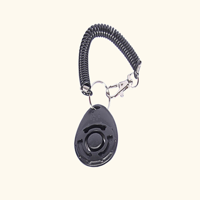 Pet Training Whistles Dog Repeller