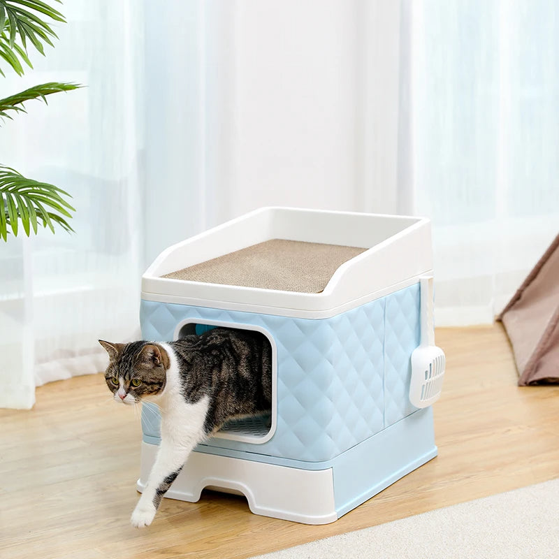 Puppy Sporting Scratching Board Cat Toilet