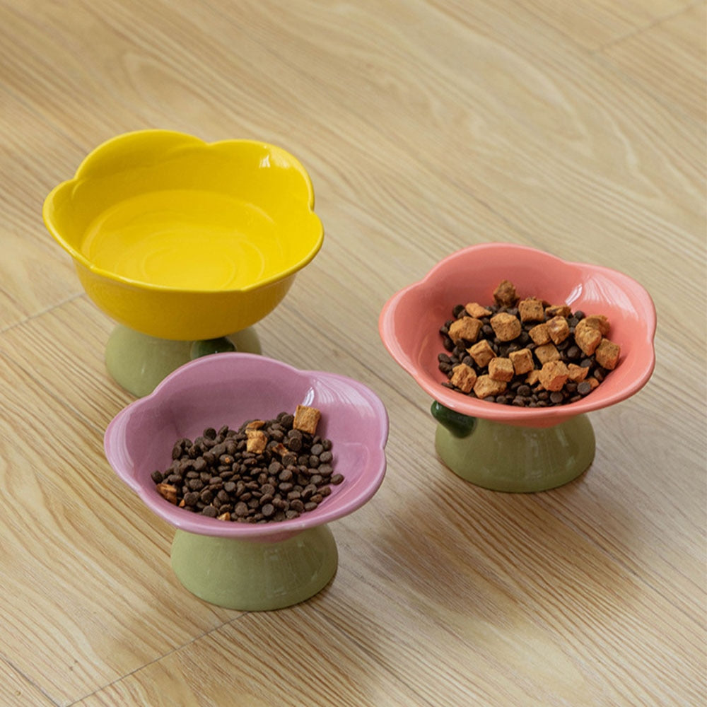 Feeding Food Elevated Raised Dish Pet Supplies