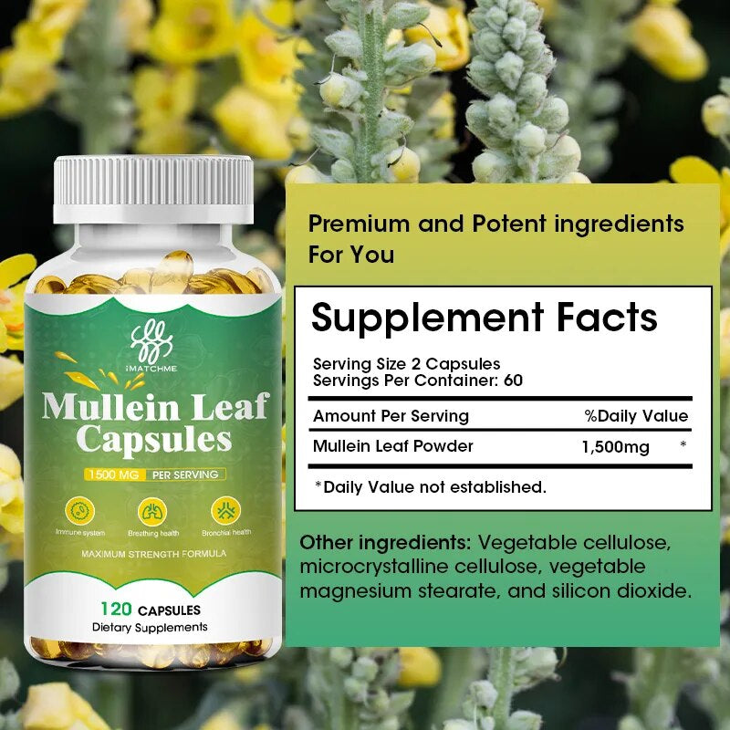 Mullein Leaf Capsule Clean the Lung Protecting the Respiratory System