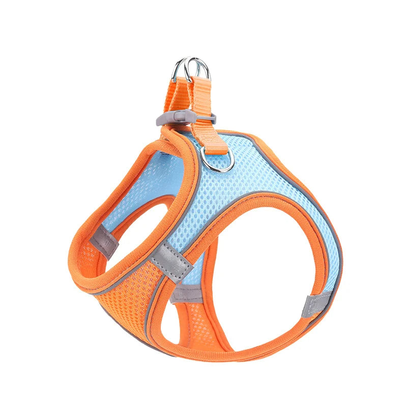 Adjustable Vest Harness and Leash Set for Puppies