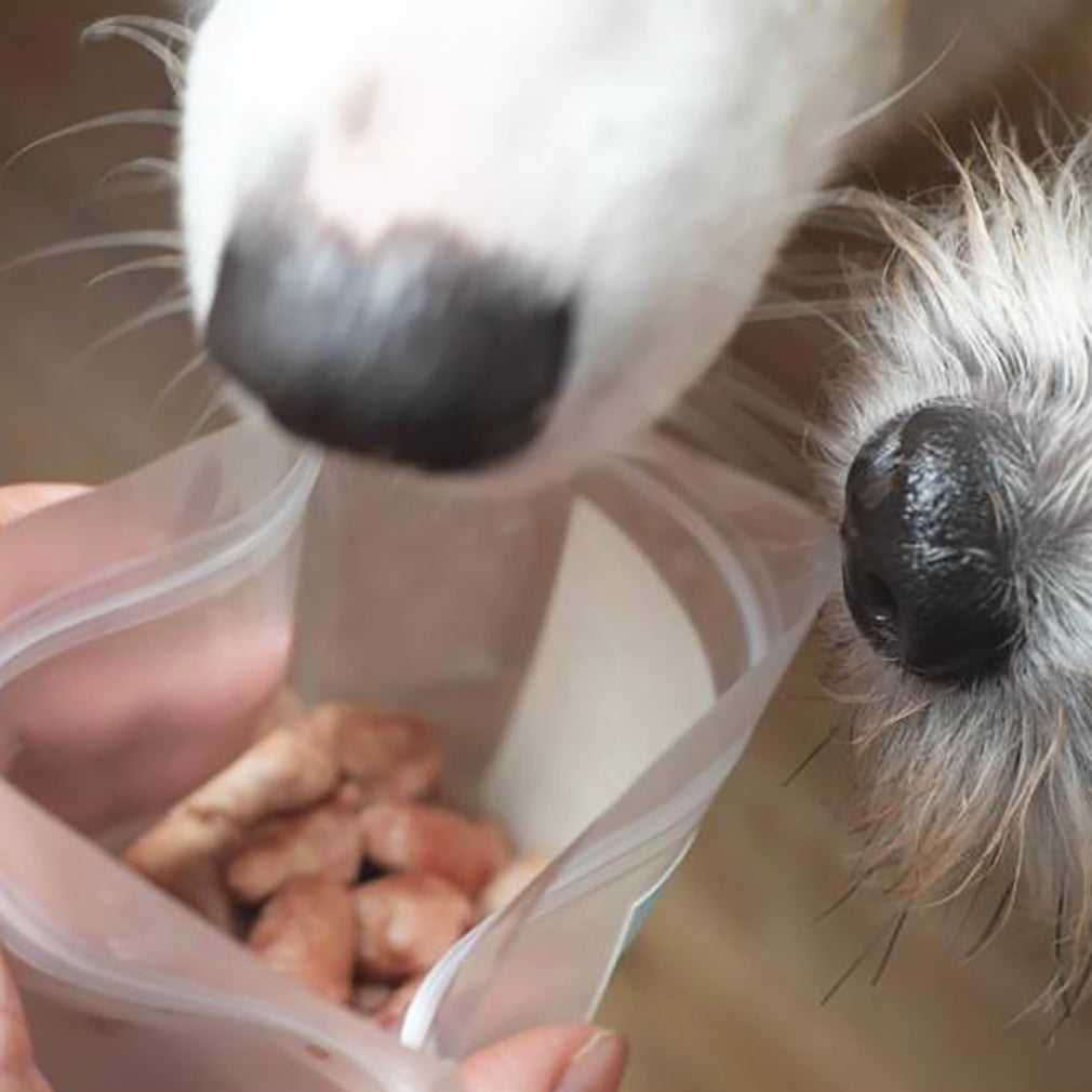 Health chicken heart dog-cat treats