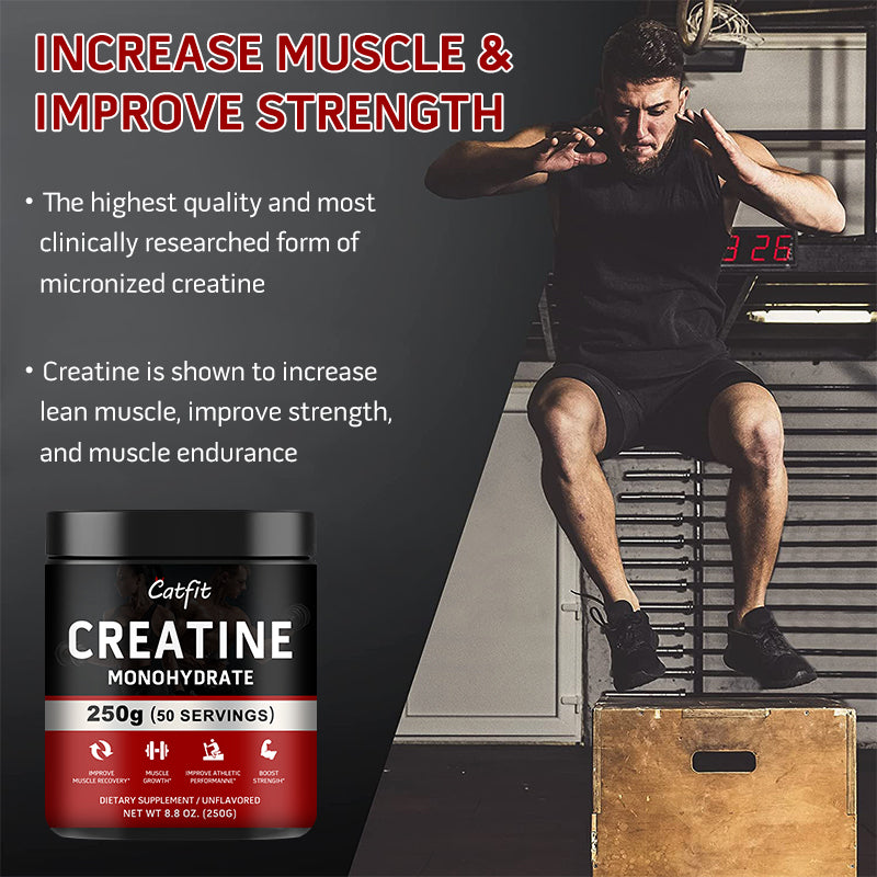 Catfit Creatine Monohydrate Sports drink Improve Gain