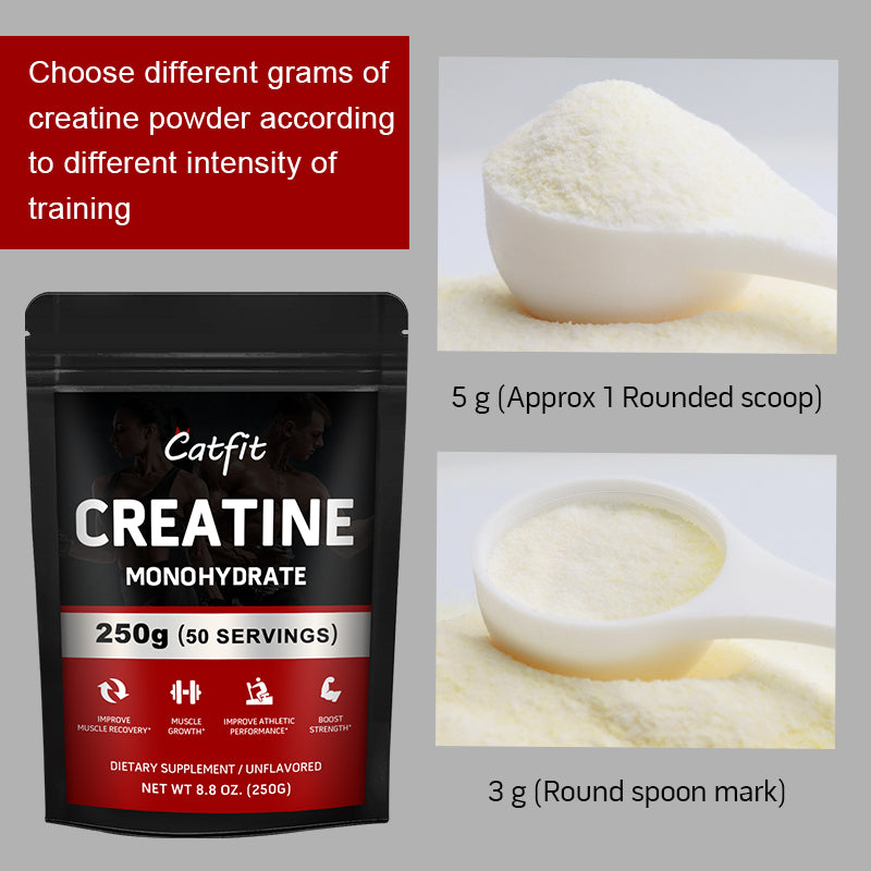 Catfit Creatine Monohydrate Improve Gain Strength Build