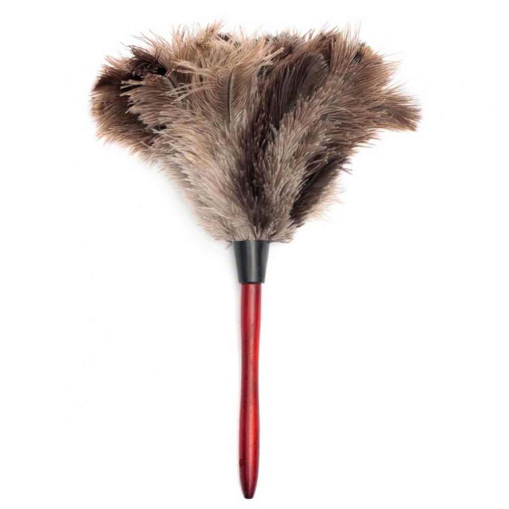 Feather Dusters Ostrich Feathers Duster