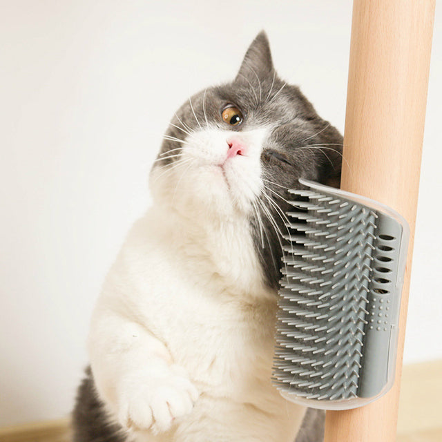 Removable Cat Corner Comb for Grooming and Scratching