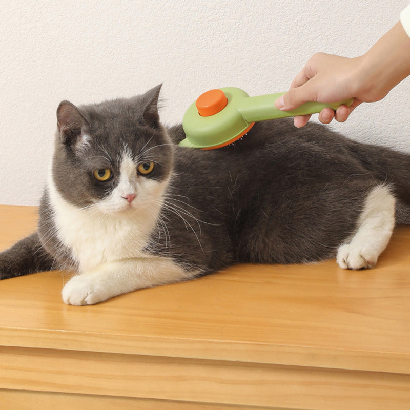 Self-Cleaning Slicker Brush for Cats and Dogs